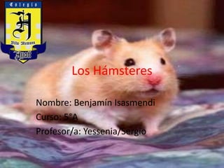 Los Hámsteres
Nombre: Benjamín Isasmendi
Curso: 5°A
Profesor/a: Yessenia/Sergio
 