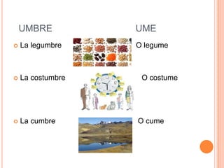 UMBRE UME
 La legumbre O legume
 La costumbre O costume
 La cumbre O cume
 