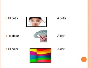  El cutis A cutis
 el dolor A dor
 El color A cor
 