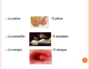  La pélvis O pélvis
 La pesadilla O pesadelo
 La sangre O sangue
 