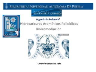 Hidrocarburos Aromáticos Policiclicos
Biorremediación.
•Andrea Garcilazo Vera
Ingeniería Ambiental
 