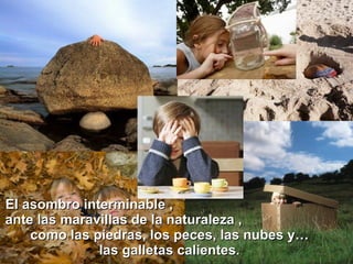 El asombro interminable ,  ante las maravillas de la naturaleza ,  como las piedras, los peces, las nubes y… las galletas calientes. 