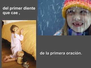 del primer diente que cae ,  de la primera oración. 