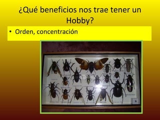 ¿Qué beneficios nos trae tener un Hobby? Orden, concentración  