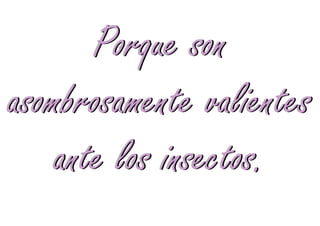 Porque son
asombrosamente valientes
    ante los insectos.
 