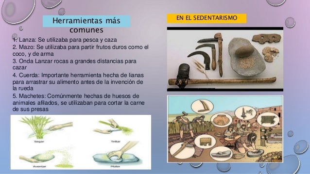 Los hombres nomadas y sedentarios
