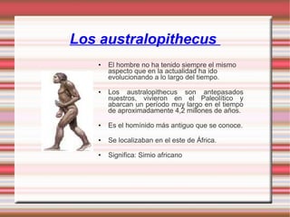 Los australopithecus  ,[object Object],[object Object],[object Object],[object Object],[object Object]