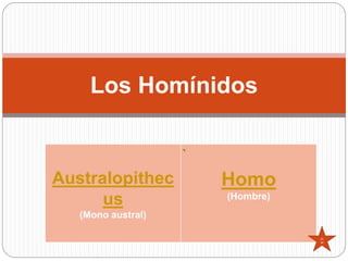 Los Homínidos
Australopithec
us
(Mono austral)
Homo
(Hombre)
cli
ck
 