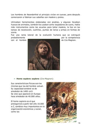 15
Los hombres de Neanderthal al principio vivían en cuevas, pero después
comenzaron a fabricar sus cabañas con madera y pieles.
Utilizaban herramientas elaboradas con piedras, y algunas llevaban
huesos de animales, también los usaban como raspadores de cuero, había
más instrumentos como las azuelas para tallar madera, la hoz en las
tareas de recolección, cuchillas, puntas de lanza y armas en formas de
sierra.
Fue una rama lateral de la evolución humana que se extinguió
probablemente por la competencia
con el hombre de Cro-Magnon.
➢ Homo sapiens sapiens (Cro-Magnon):
Sus características físicas son las
mismas que las del hombre actual.
Su capacidad cerebral es de
alrededor de 1400 cm3.
Se cree que apareció en Europa
hace alrededor de 40.000 años.
El homo sapiens es el que
protagonizó a partir del año 10.000
a.C, cambios muy importantes en la
organización económica y social,
como las
 