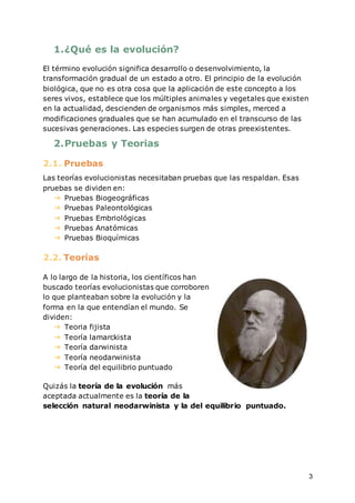 3
1.¿Qué es la evolución?
El término evolución significa desarrollo o desenvolvimiento, la
transformación gradual de un estado a otro. El principio de la evolución
biológica, que no es otra cosa que la aplicación de este concepto a los
seres vivos, establece que los múltiples animales y vegetales que existen
en la actualidad, descienden de organismos más simples, merced a
modificaciones graduales que se han acumulado en el transcurso de las
sucesivas generaciones. Las especies surgen de otras preexistentes.
2.Pruebas y Teorias
2.1. Pruebas
Las teorías evolucionistas necesitaban pruebas que las respaldan. Esas
pruebas se dividen en:
➔ Pruebas Biogeográficas
➔ Pruebas Paleontológicas
➔ Pruebas Embriológicas
➔ Pruebas Anatómicas
➔ Pruebas Bioquímicas
2.2. Teorías
A lo largo de la historia, los científicos han
buscado teorías evolucionistas que corroboren
lo que planteaban sobre la evolución y la
forma en la que entendían el mundo. Se
dividen:
➔ Teoria fijista
➔ Teoría lamarckista
➔ Teoría darwinista
➔ Teoría neodarwinista
➔ Teoría del equilibrio puntuado
Quizás la teoría de la evolución más
aceptada actualmente es la teoría de la
selección natural neodarwinista y la del equilibrio puntuado.
 