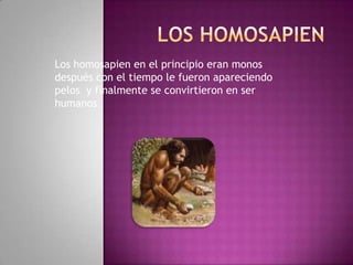LOS HOMOSAPIEN  Los homosapien en el principio eran monos después con el tiempo le fueron apareciendo pelos  y finalmente se convirtieron en ser humanos.  