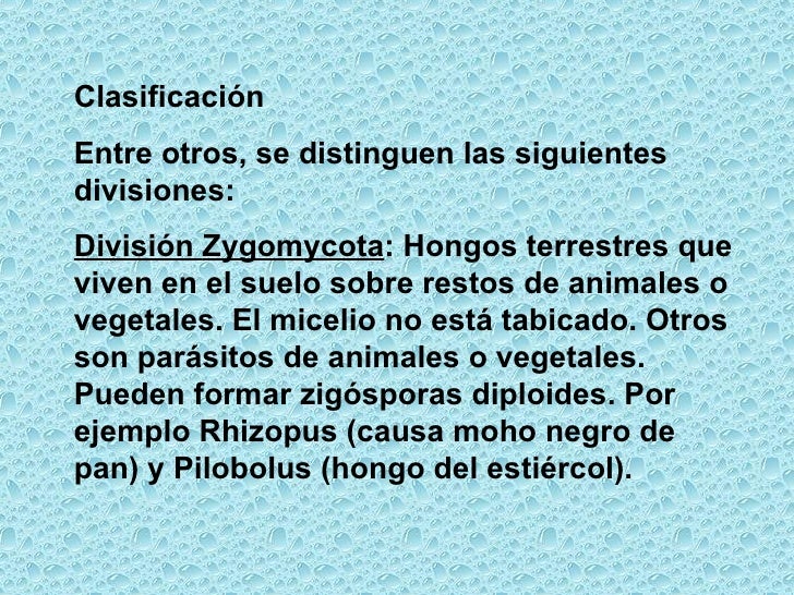 Como recoger el té conventual de los parásitos