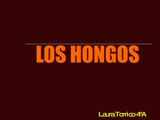 LOS HONGOS Laura Torrico 4ºA 
