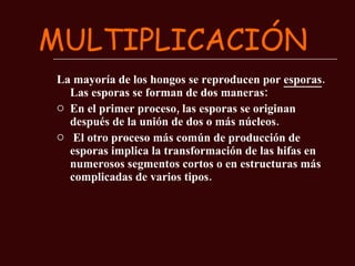 MULTIPLICACIÓN La mayoría de los hongos se reproducen por  esporas . Las esporas se forman de dos maneras:  En el primer proceso, las esporas se originan después de la unión de dos o más núcleos. El otro proceso más común de producción de esporas implica la transformación de las hifas en numerosos segmentos cortos o en estructuras más complicadas de varios tipos.  