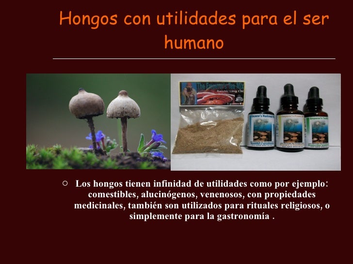El hongo en los pies los síntomas el tratamiento del hongo entre los dedos de los pies