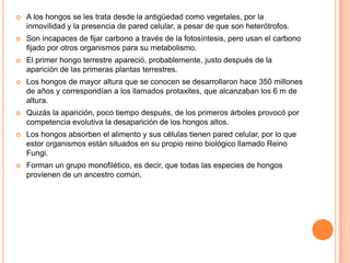    A los hongos se les trata desde la antigüedad como vegetales, por la
    inmovilidad y la presencia de pared celular, a pesar de que son heterótrofos.
   Son incapaces de fijar carbono a través de la fotosíntesis, pero usan el carbono
    fijado por otros organismos para su metabolismo.
   El primer hongo terrestre apareció, probablemente, justo después de la
    aparición de las primeras plantas terrestres.
   Los hongos de mayor altura que se conocen se desarrollaron hace 350 millones
    de años y correspondían a los llamados protaxites, que alcanzaban los 6 m de
    altura.
   Quizás la aparición, poco tiempo después, de los primeros árboles provocó por
    competencia evolutiva la desaparición de los hongos altos.
   Los hongos absorben el alimento y sus células tienen pared celular, por lo que
    estor organismos están situados en su propio reino biológico llamado Reino
    Fungi.
   Forman un grupo monofilético, es decir, que todas las especies de hongos
    provienen de un ancestro común.
 