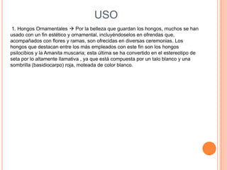 USO
 1. Hongos Ornamentales  Por la belleza que guardan los hongos, muchos se han
usado con un fin estético y ornamental, incluyéndoselos en ofrendas que,
acompañados con flores y ramas, son ofrecidas en diversas ceremonias. Los
hongos que destacan entre los más empleados con este fin son los hongos
psilocibios y la Amanita muscaria; esta última se ha convertido en el estereotipo de
seta por lo altamente llamativa , ya que está compuesta por un talo blanco y una
sombrilla (basidiocarpo) roja, moteada de color blanco.
 
