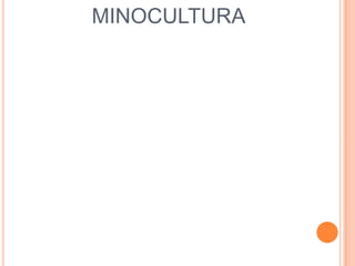 MINOCULTURA
 