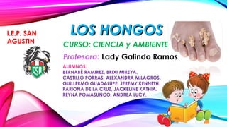 LOS HONGOSLOS HONGOS
ALUMNOS:
BERNABÈ RAMIREZ, BRIXI MIREYA.
CASTILLO PORRAS, ALEXANDRA MILAGROS.
GUILLERMO GUADALUPE, JEREMY KENNETH.
PARIONA DE LA CRUZ, JACKELINE KATHIA.
REYNA POMASUNCO, ANDREA LUCY.
Profesora: Lady Galindo Ramos
I.E.P. SAN
AGUSTIN
CURSO: CIENCIA y AMBIENTE
 
