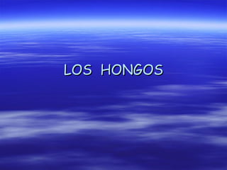 LOS HONGOS
 
