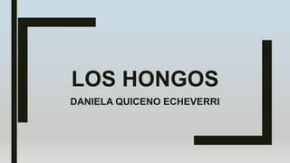 LOS HONGOS
DANIELA QUICENO ECHEVERRI
 