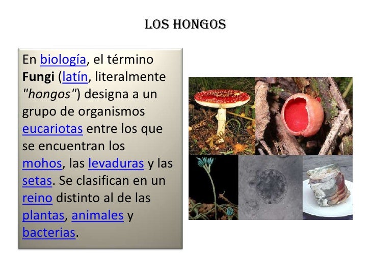 Como curar las lombrices al niño 3 años