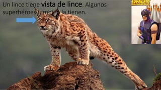 Un lince tiene vista de lince. Algunos 
superhéroes también la tienen. 
 