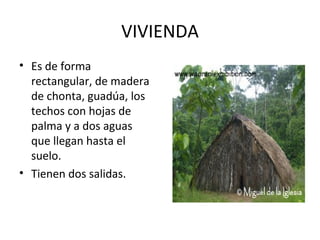 VIVIENDA <ul><li>Es de forma rectangular, de madera de chonta, guadúa, los techos con hojas de palma y a dos aguas que lle...