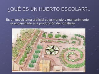 ¿QUÉ ES UN HUERTO ESCOLAR?... Es un ecosistema artificial cuyo manejo y mantenimiento va encaminado a la producción de hortalizas. 