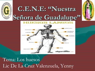 新しい HUMANA ANATMIA ALGARA ゲームキャラクター