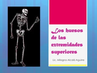 Los huesos
de las
extremidades
superiores
Lic. Milagros Alcalá Aguirre
 