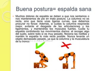 Buena postura= espalda sana
 Muchos dolores de espalda se deben a que nos sentamos o
nos mantenemos de pie en mala postura. La columna no es
recta, sino que tiene unas ligeras curvas, que debemos
procurar no forzar. Además, si cuidas tu columna respirarás
mejor, evitarás el desgaste de las articulaciones y los
ligamentos, y mantendrás los músculos fuertes. Cuida tu
espalda controlando tus movimientos diarios: al recoger algo
del suelo, sobre todo si es muy pesado, flexiona las rodillas y
mantén la espalda lo más recta posible. Nunca levante un
objeto demasiado pesado, ya que la columna y la musculatura
de tu tronco se pueden lesionar.
 