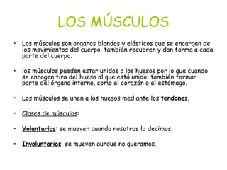 LOS MÚSCULOS Los músculos son organos blandos y elásticos que se encargan de los movimientos del cuerpo. también recubren y dan forma a cada parte del cuerpo.  los músculos pueden estar unidos a los huesos por lo que cuando se encogen tira del hueso al que está unido, también formar parte del órgano interno, como el corazón o el estómago.  Los músculos se unen a los huesos mediante los  tendones .  Clases de músculos :  Voluntarios : se mueven cuando nosotros lo decimos.  Involuntarios : se mueven aunque no queramos.   