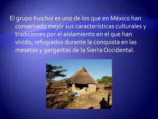 El grupo huichol es uno de los que en México han
  conservado mejor sus características culturales y
  tradiciones por el aislamiento en el que han
  vivido, refugiados durante la conquista en las
  mesetas y gargantas de la Sierra Occidental.
 