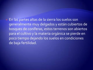    En las partes altas de la sierra los suelos son
    generalmente muy delgados y están cubiertos de
    bosques de coníferas, estos terrenos son abiertos
    para el cultivo y la materia orgánica se pierde en
    poco tiempo dejando los suelos en condiciones
    de baja fertilidad.
 
