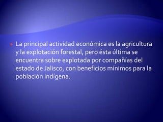    La principal actividad económica es la agricultura
    y la explotación forestal, pero ésta última se
    encuentra sobre explotada por compañías del
    estado de Jalisco, con beneficios mínimos para la
    población indígena.
 