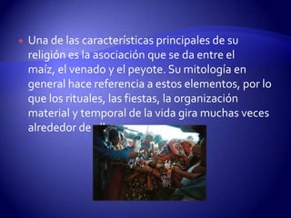    Una de las características principales de su
    religión es la asociación que se da entre el
    maíz, el venado y el peyote. Su mitología en
    general hace referencia a estos elementos, por lo
    que los rituales, las fiestas, la organización
    material y temporal de la vida gira muchas veces
    alrededor de ellos.
 
