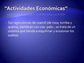    Son agricultores de coamil (de roza, tumba y
    quema, siembran con coa -palo-, se trata de un
    sistema que tiende a esquilmar y erosionar los
    suelos)
 