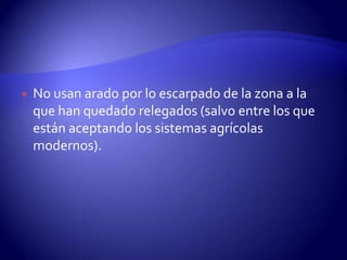    No usan arado por lo escarpado de la zona a la
    que han quedado relegados (salvo entre los que
    están aceptando los sistemas agrícolas
    modernos).
 