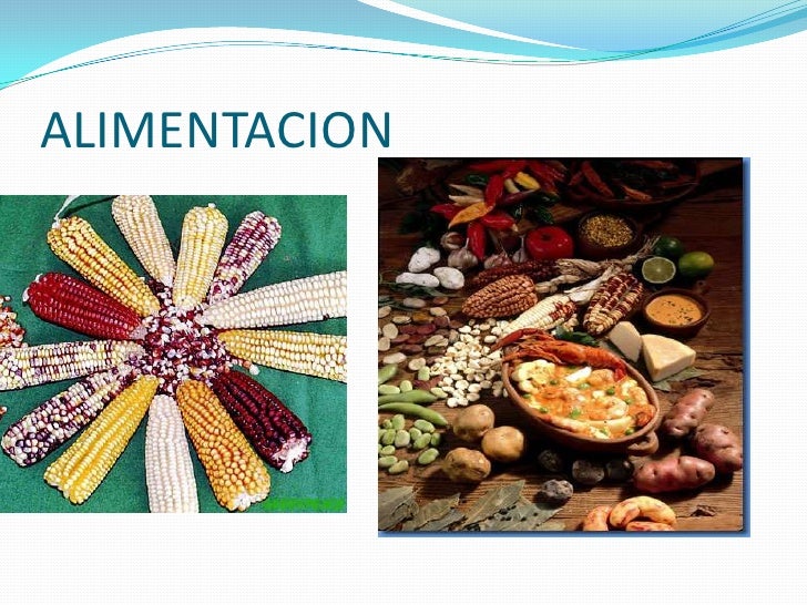 Los huicholes y los tarahumaras
