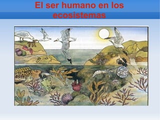 El ser humano en los ecosistemas 