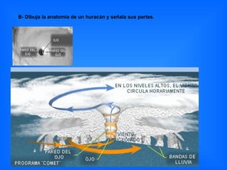 B- Dibuja la anatomía de un huracán y señala sus partes . 