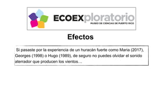 Si pasaste por la experiencia de un huracán fuerte como Maria (2017),
Georges (1998) o Hugo (1989), de seguro no puedes olvidar el sonido
aterrador que producen los vientos…
Efectos
 