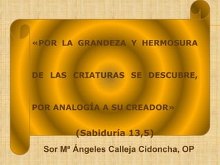 Sor Mª Ángeles Calleja Cidoncha, OP «POR LA GRANDEZA Y HERMOSURA DE LAS CRIATURAS SE DESCUBRE, POR ANALOGÍA A SU CREADOR»  (Sabiduría 13,5) 