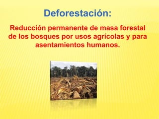 Deforestación:
Reducción permanente de masa forestal
de los bosques por usos agrícolas y para
asentamientos humanos.