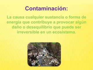 Contaminación:
La causa cualquier sustancia o forma de
energía que contribuye a provocar algún
daño o desequilibrio que puede ser
irreversible en un ecosistema.