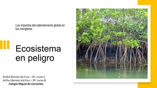 Ecosistema
en peligro
Los impactos del calentamiento global en
los manglares
André Benassi da Cruz – 6º. curso C
Arthur Benassi da Cruz – 9º. curso B
Colegio Miguel de Cervantes
 