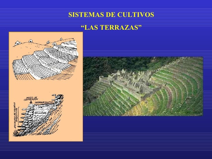 Resultado de imagen para sistema de cultivo de los incas