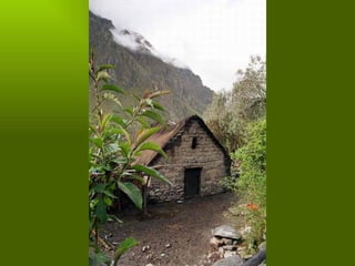 Los incas