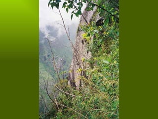 Los incas